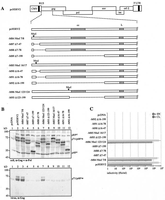 FIG. 3.