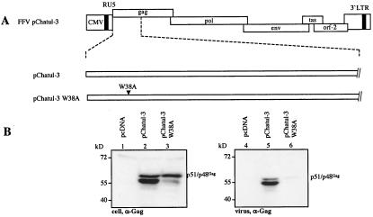 FIG. 7.