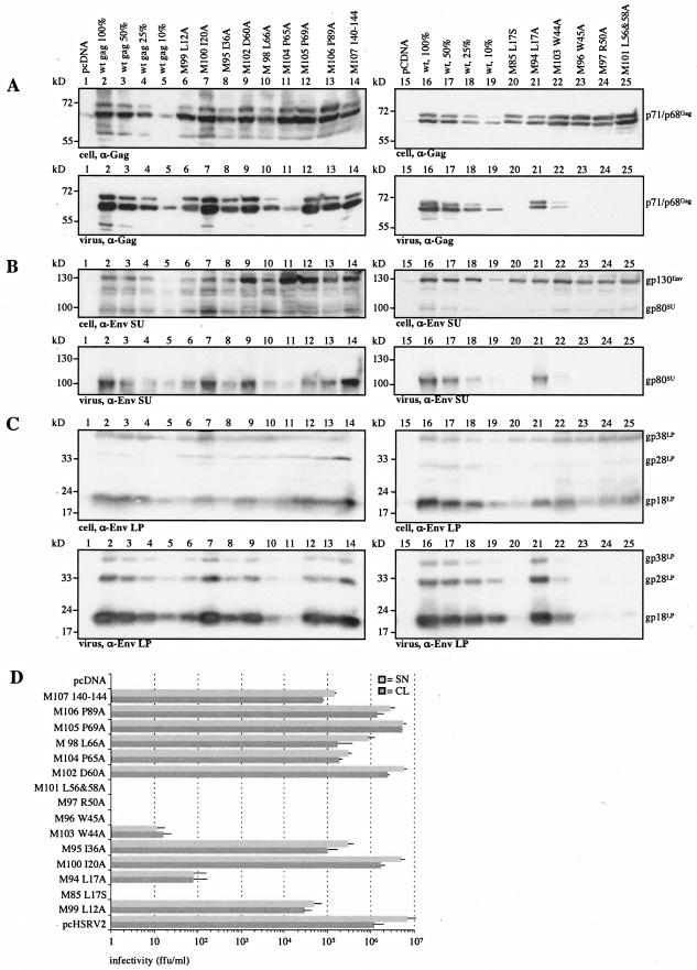 FIG.6.