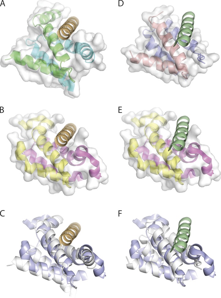 Figure 9.