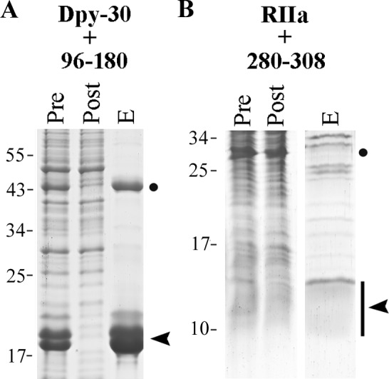 Figure 10.