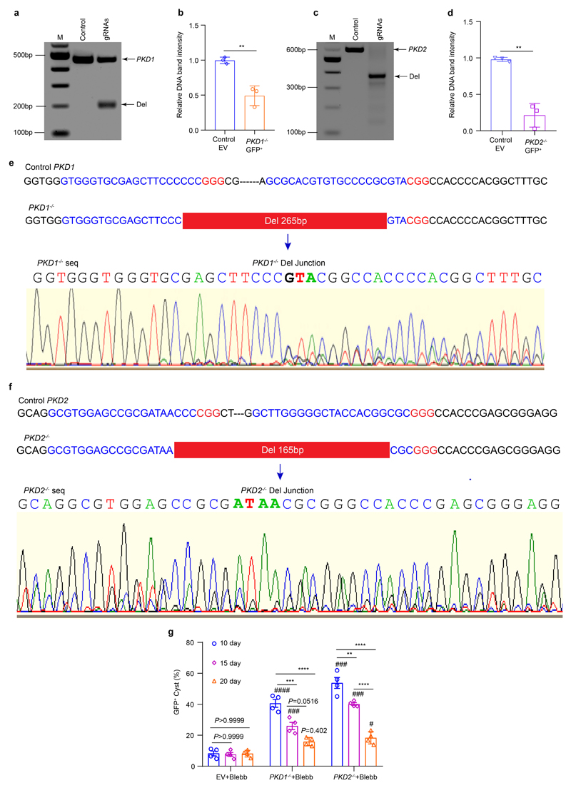 Extended Data Fig. 4