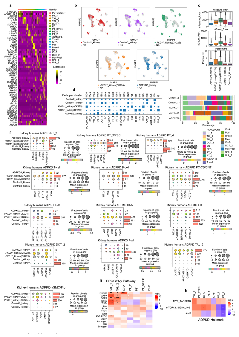 Extended Data Fig. 5