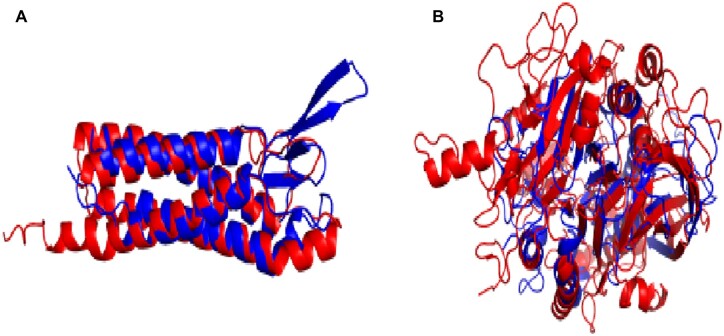 Fig. 5.