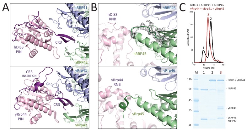 Figure 4.