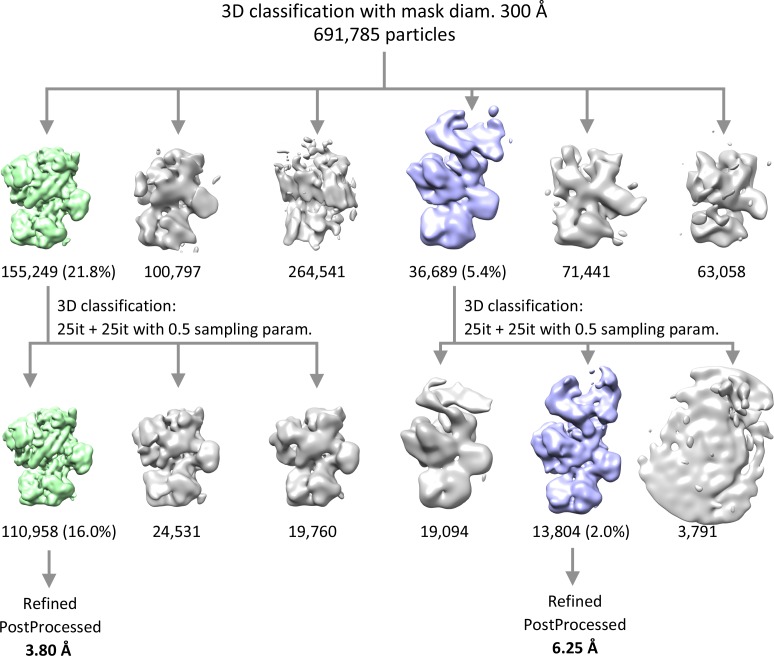 Figure 2—figure supplement 2.