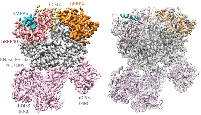 Figure 2.