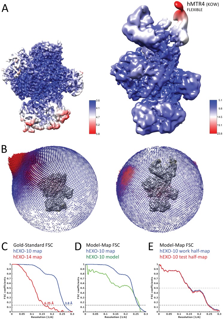 Figure 2—figure supplement 3.