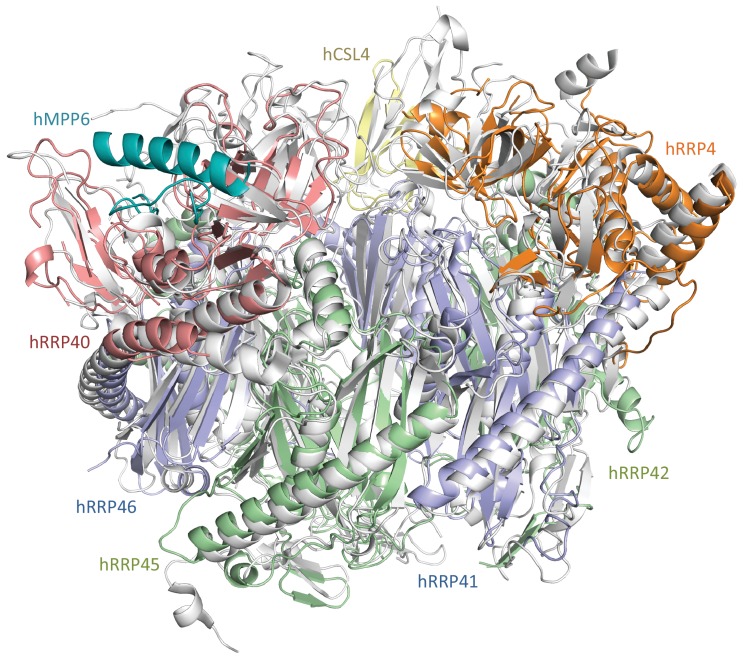 Figure 3—figure supplement 1.