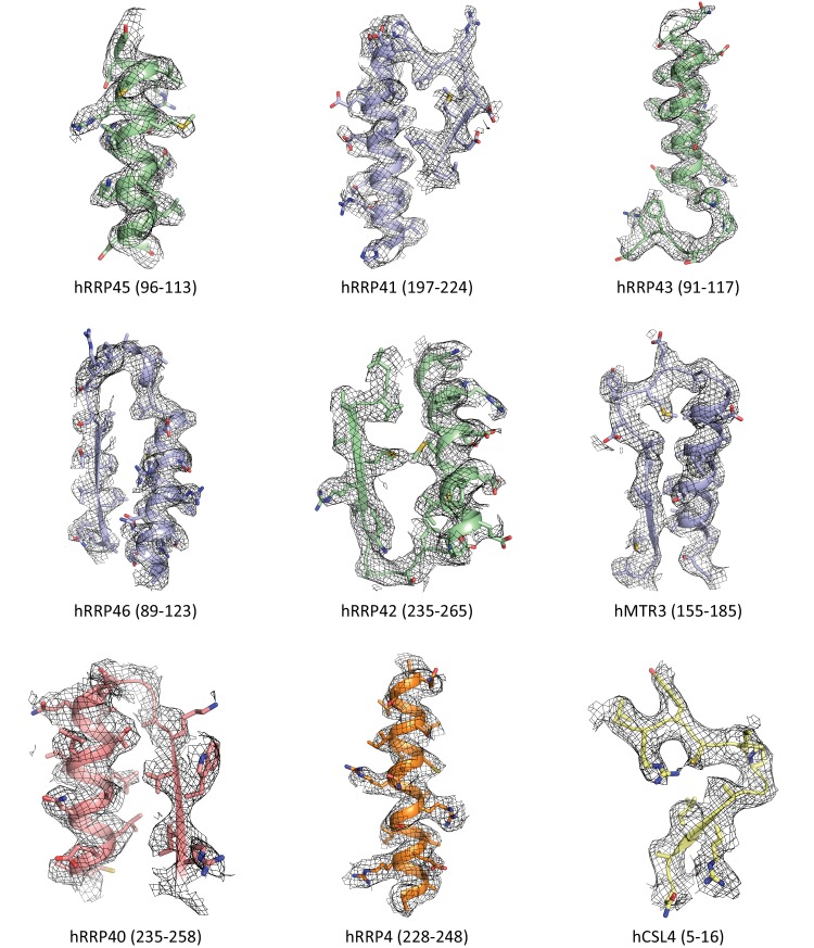 Figure 3—figure supplement 2.