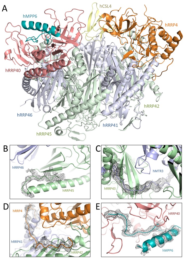 Figure 3.