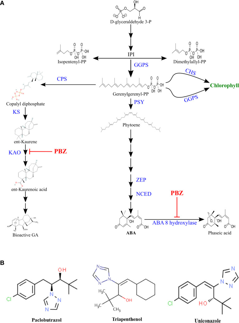 Figure 1