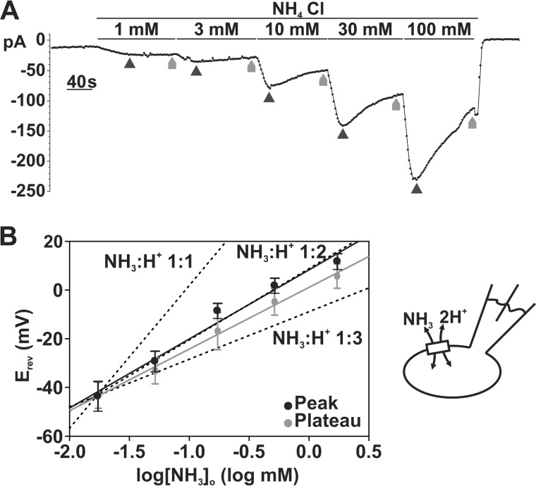 FIGURE 9.