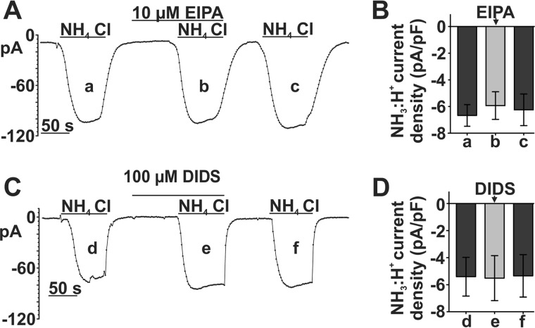 FIGURE 10.