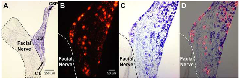 Figure 6.