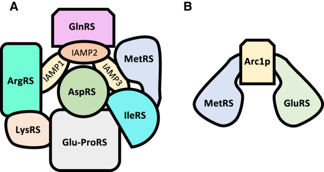 FIGURE 4.