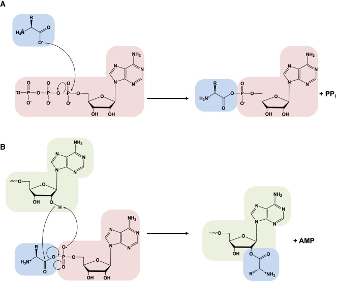 FIGURE 1.