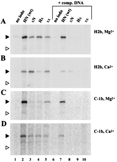 FIG. 3