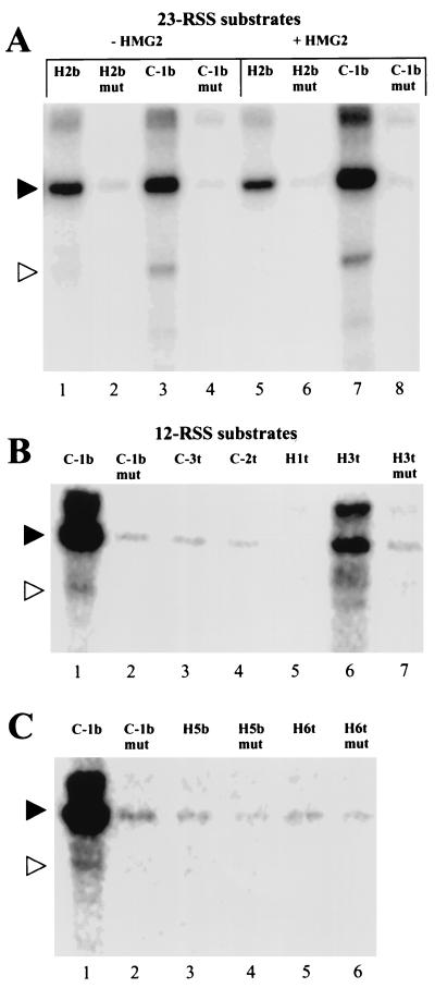 FIG. 5