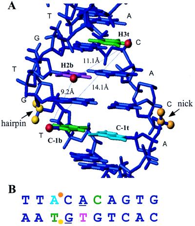 FIG. 9