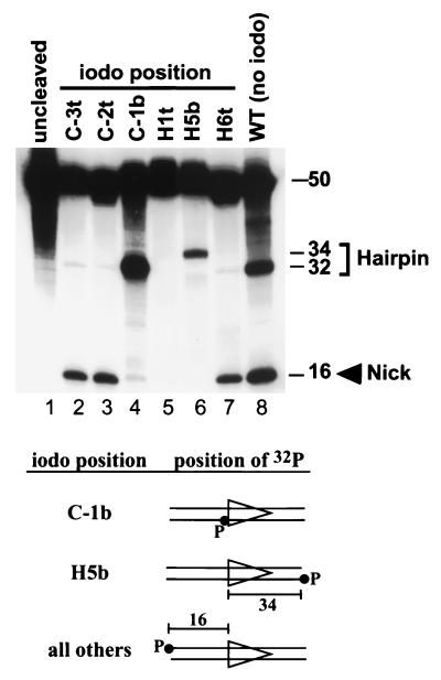 FIG. 6