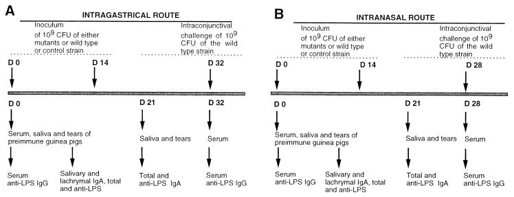 FIG. 1