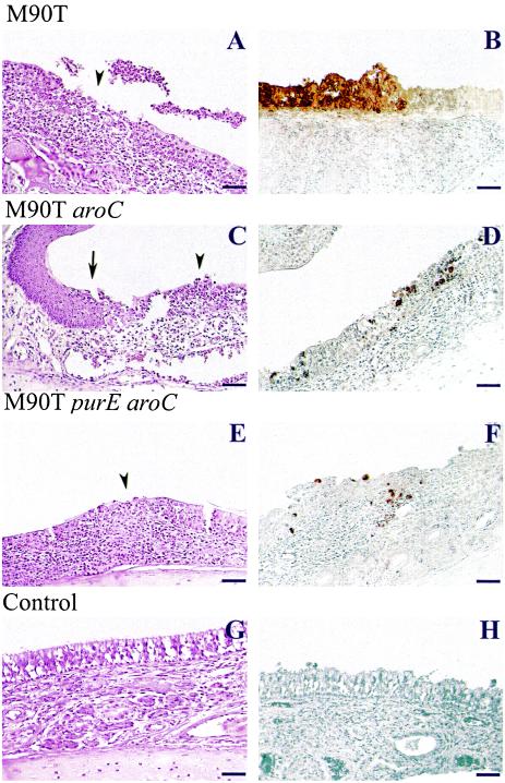 FIG. 7