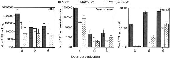 FIG. 3