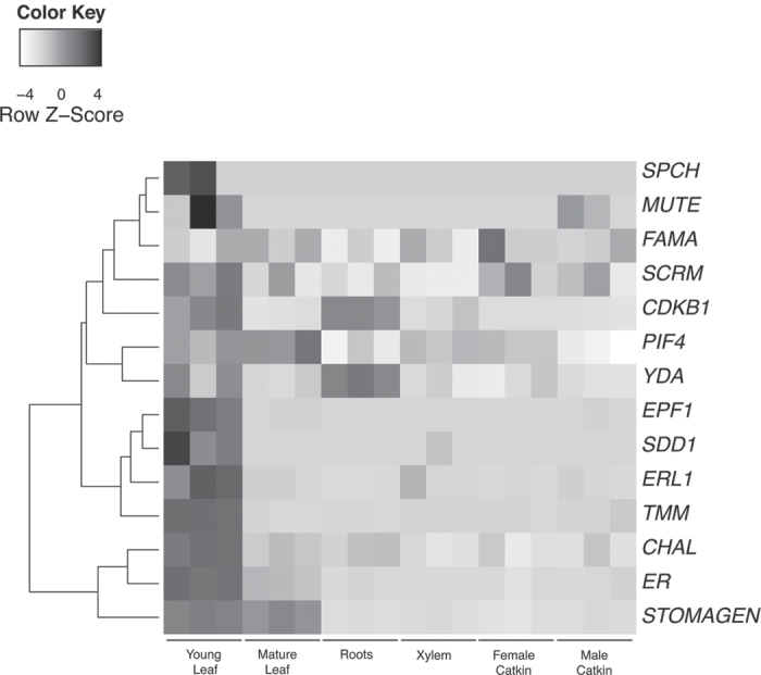 Fig. 4.