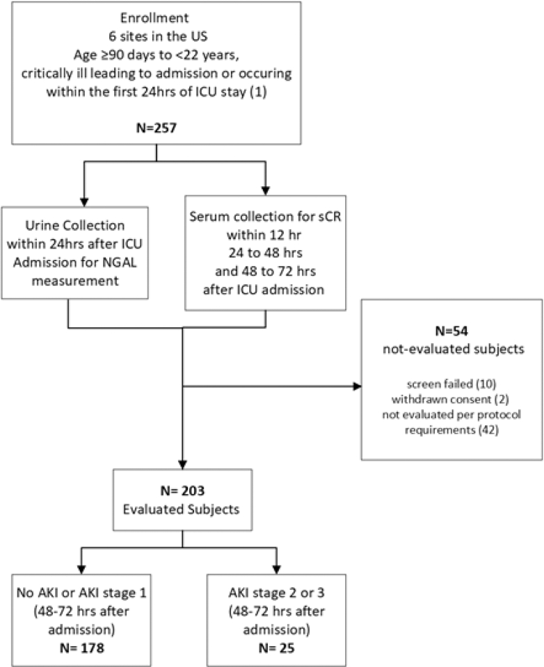 Figure 1