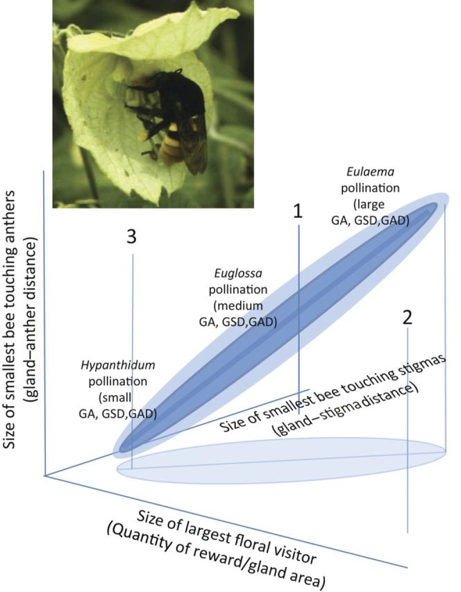 Figure 3.