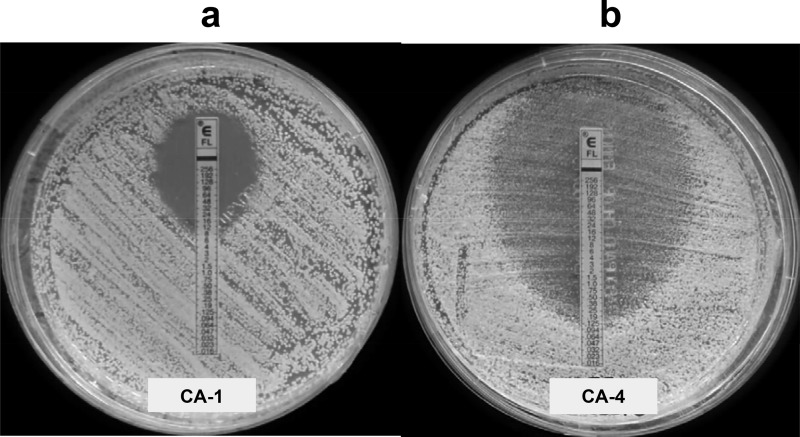 FIG 3