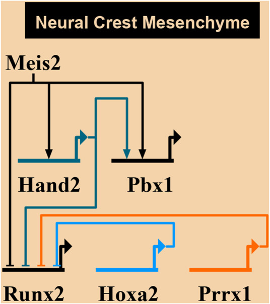 FIGURE 10