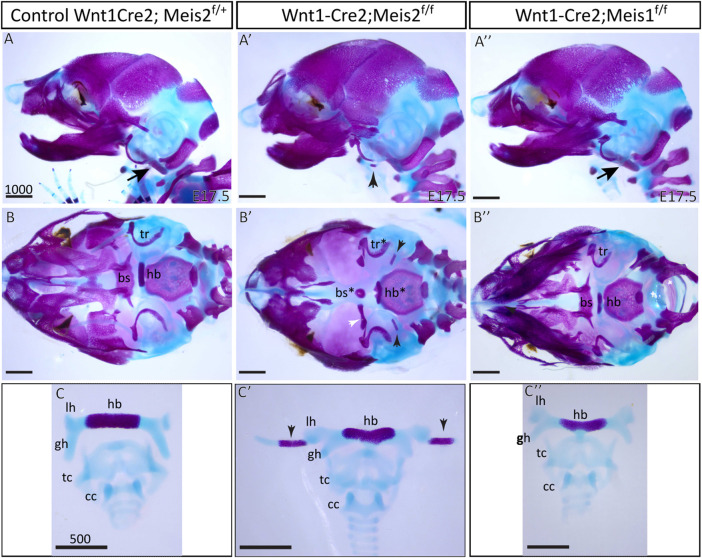 FIGURE 2