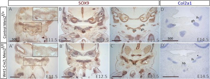 FIGURE 3