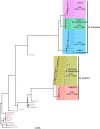 Fig. 2