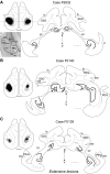 Fig. 9.