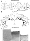 Fig. 11.