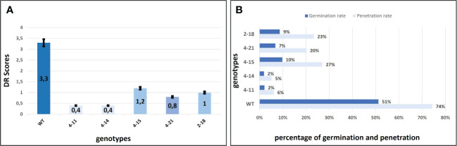 Figure 4