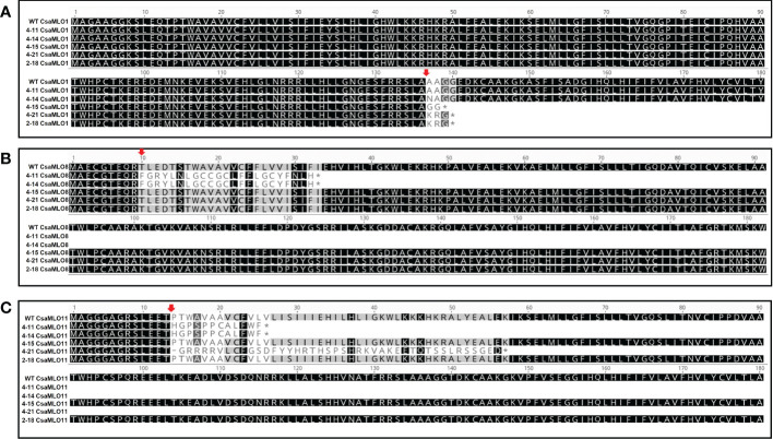 Figure 3