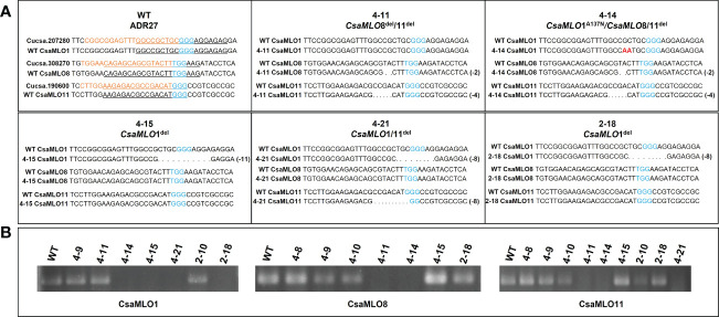 Figure 2