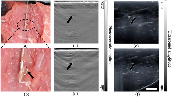 Fig. 3