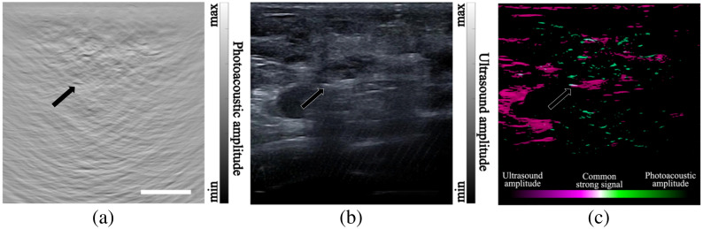 Fig. 5