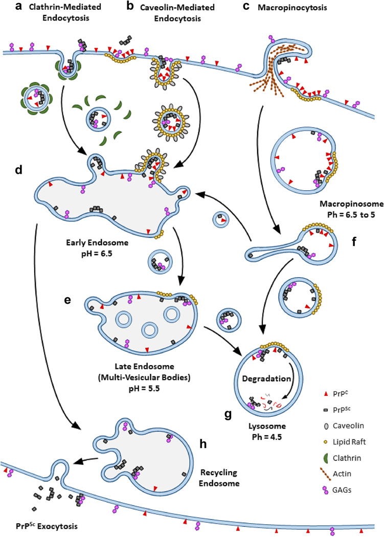 Figure 1 -