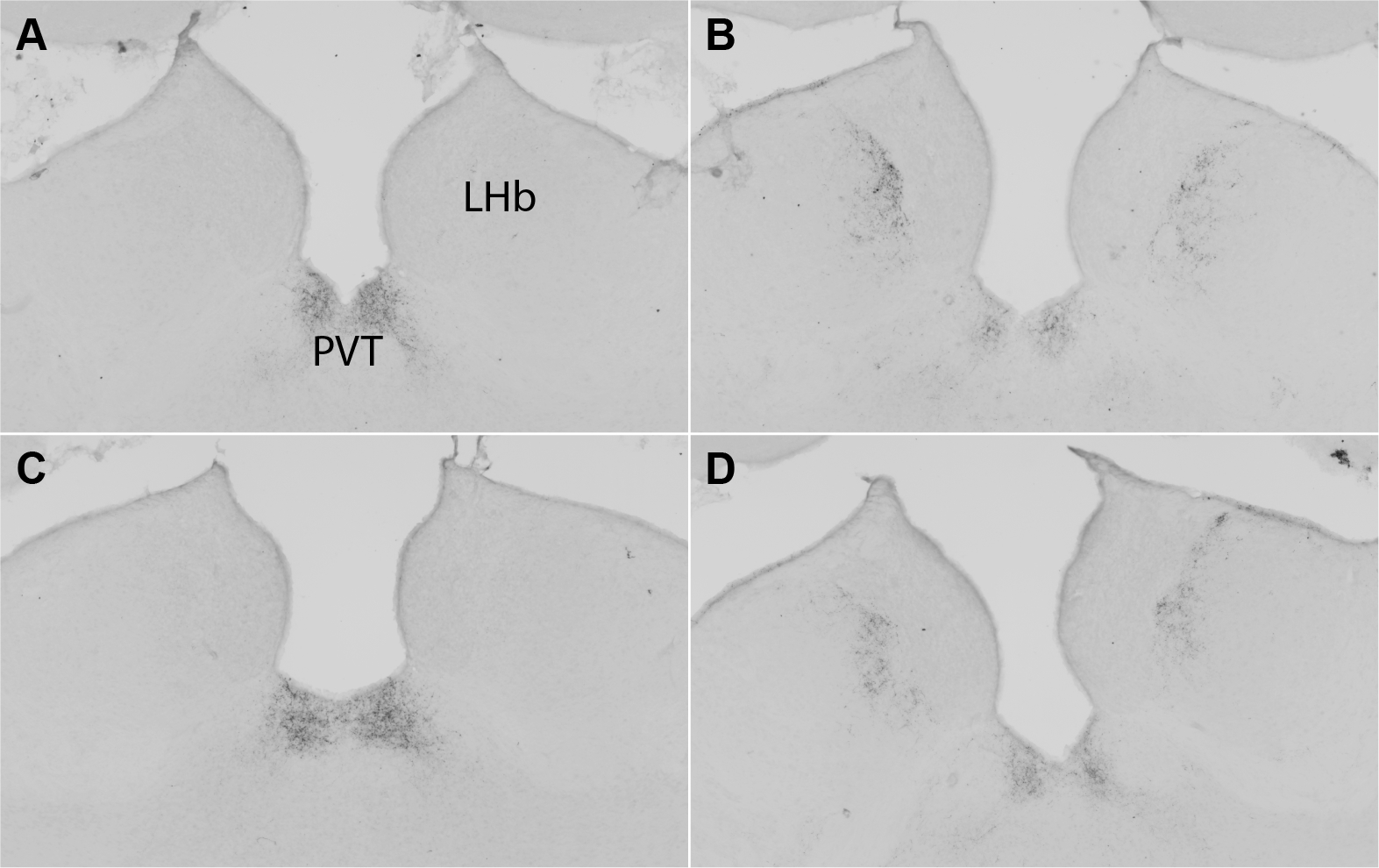 Figure 5.