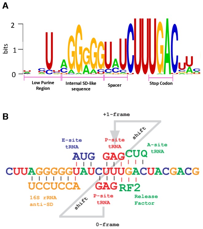 Figure 12.