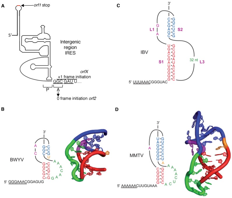 Figure 13.