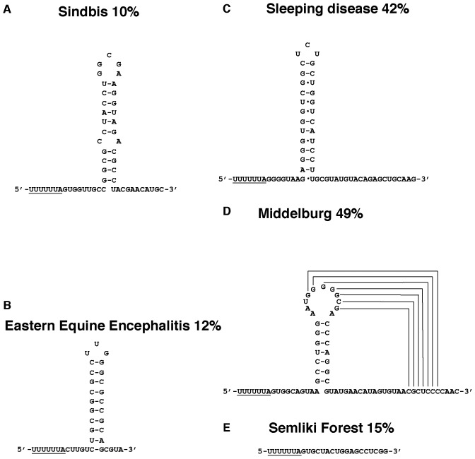 Figure 15.