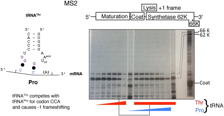 Figure 9.