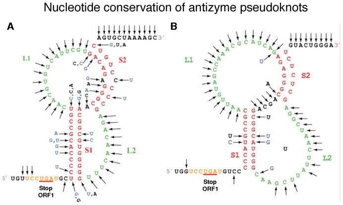 Figure 14.